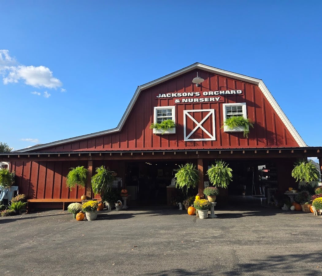 Jackson's Orchard & Nursery 2